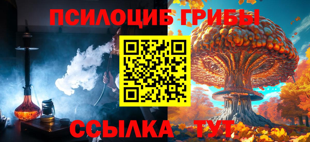Галлюциногенные грибы ЛСД  Псилоцибиновые грибы мицелий  Вход с VPN  наркота  Зима 